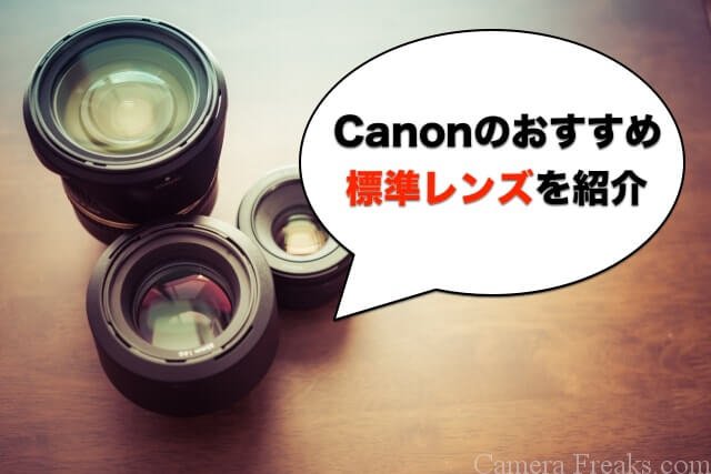 Canonのおすすめ標準レンズを紹介